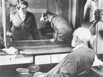 Pavlov´un Köpek Deneyi Nedir? Nasıl Yapılmıştır?